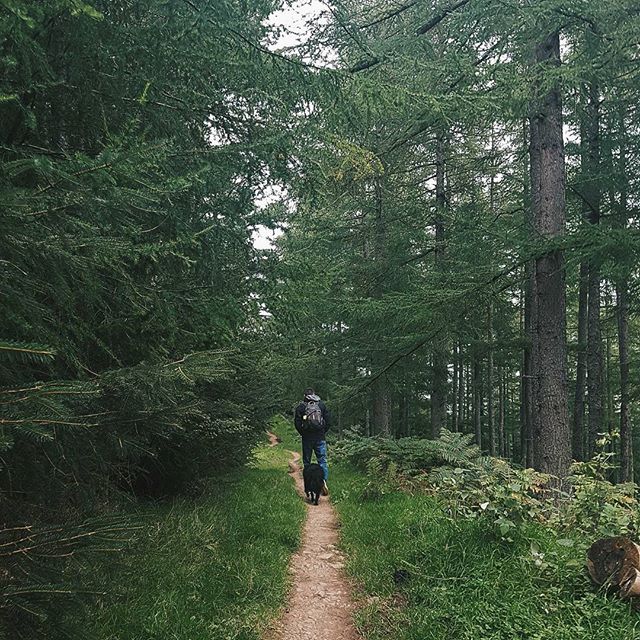 When your only 5'3 and your husband is 6'4 this view is a little too common. My little legs cant keep up with the pace - #shortpeopleproblems