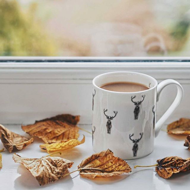 I'm back at work this morning after a long weekend. I decided to take some time away from the internet and focus on making the most of my time off. Turns out I really needed that mini digital detox. Feel refreshed and ready for the week ahead for the first time in ages.