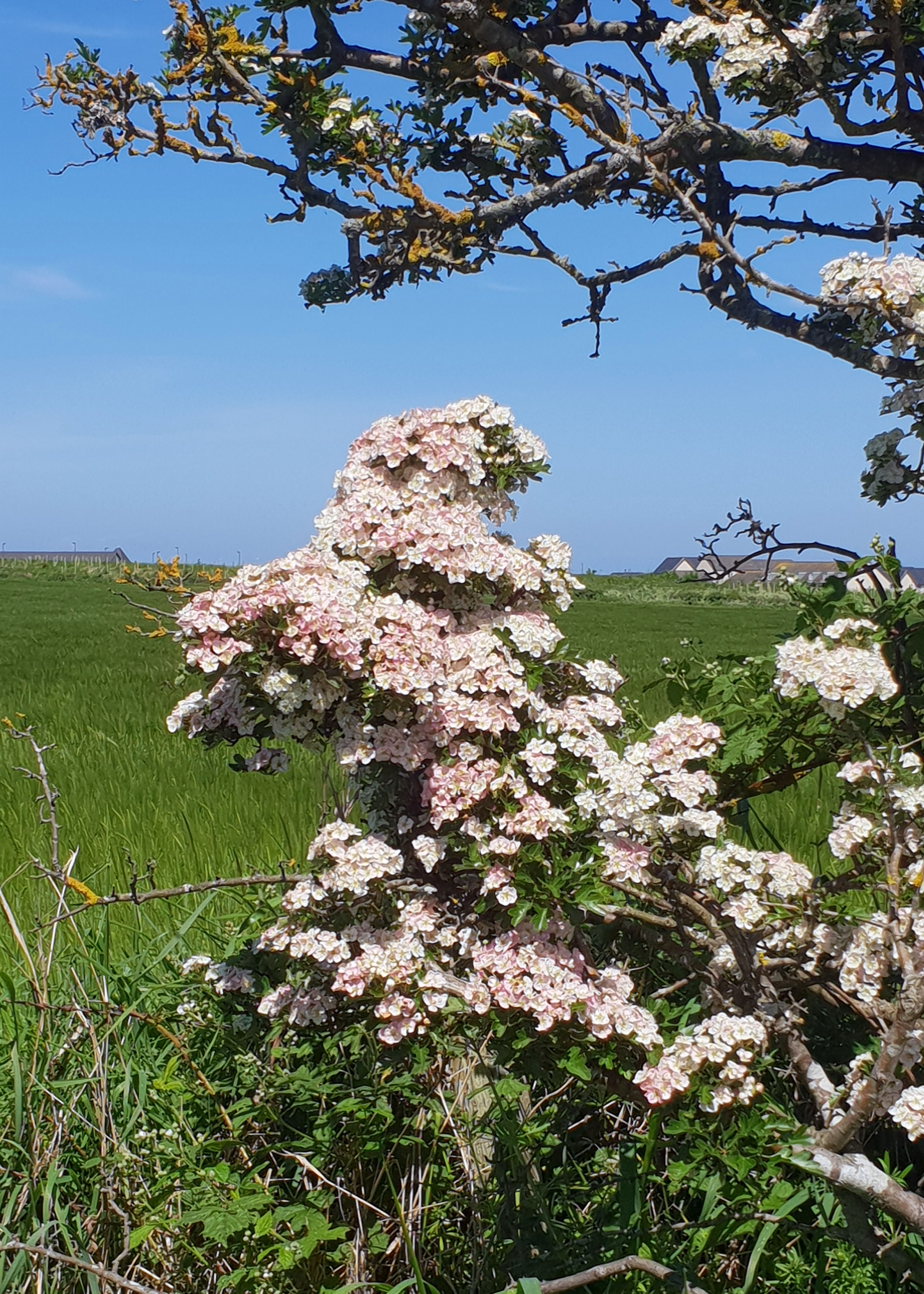 Ways to make sustainable living less overwhelming