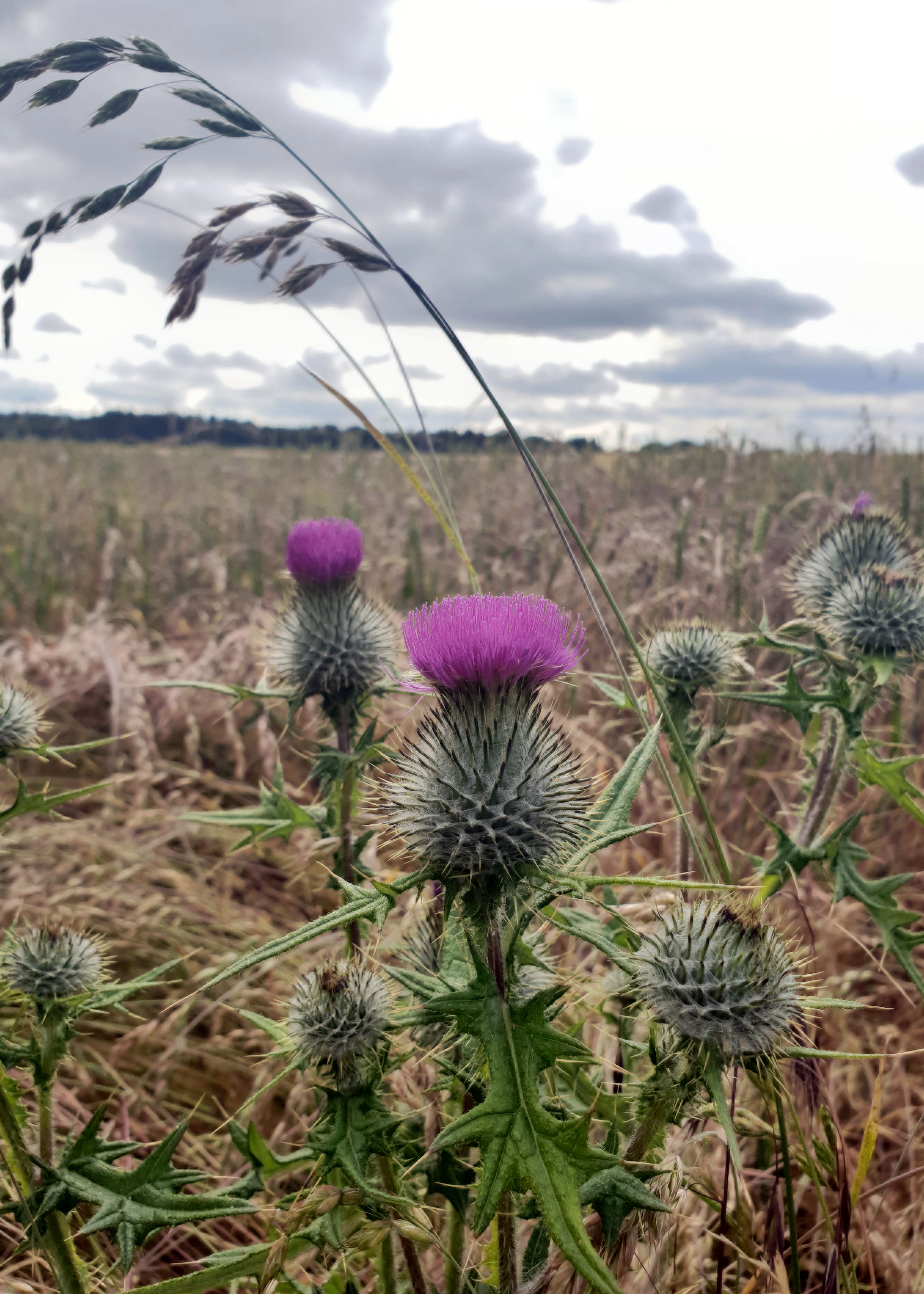 Ways to make sustainable living less overwhelming