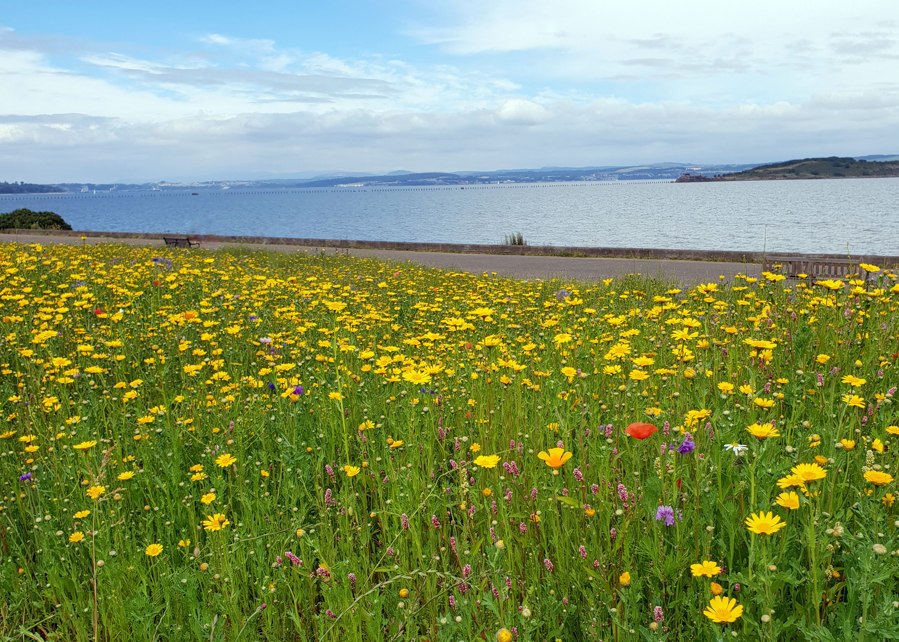 Slowing Down for the Summer